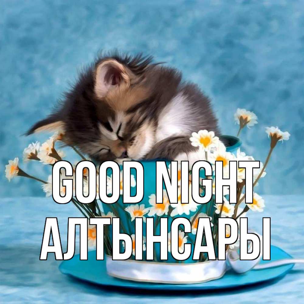 Greetings card с именем, Алтынсары Good night котенок спит в кружке с блюдцем Greetings with text for free download 