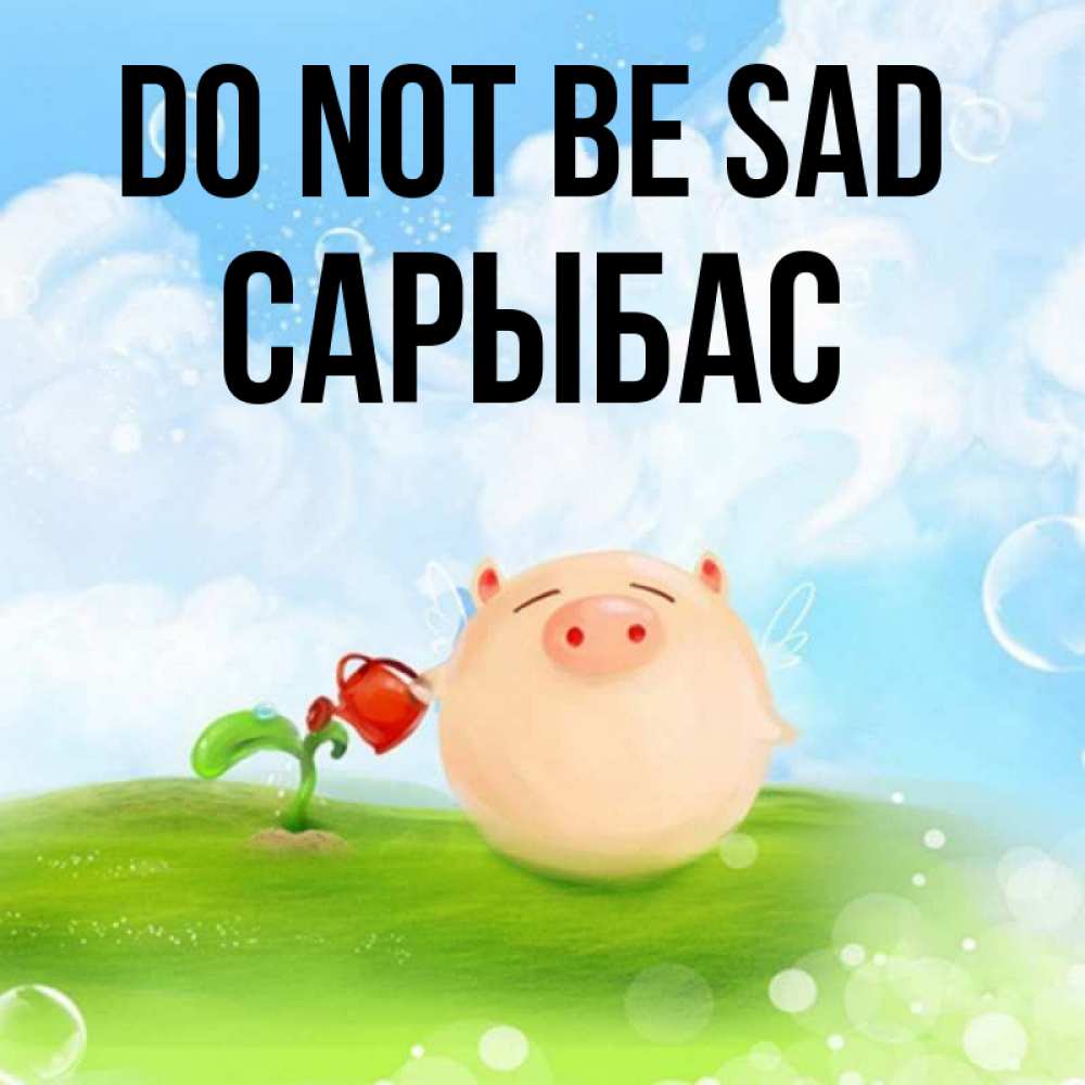 Greetings card с именем, САРЫБАС Do not be sad поливает цветок порося Greetings with text for free download 