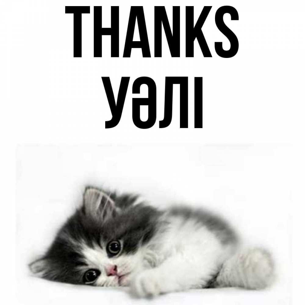 Greetings card с именем, УӘЛІ Thanks черный и белый кот Greetings with text for free download 