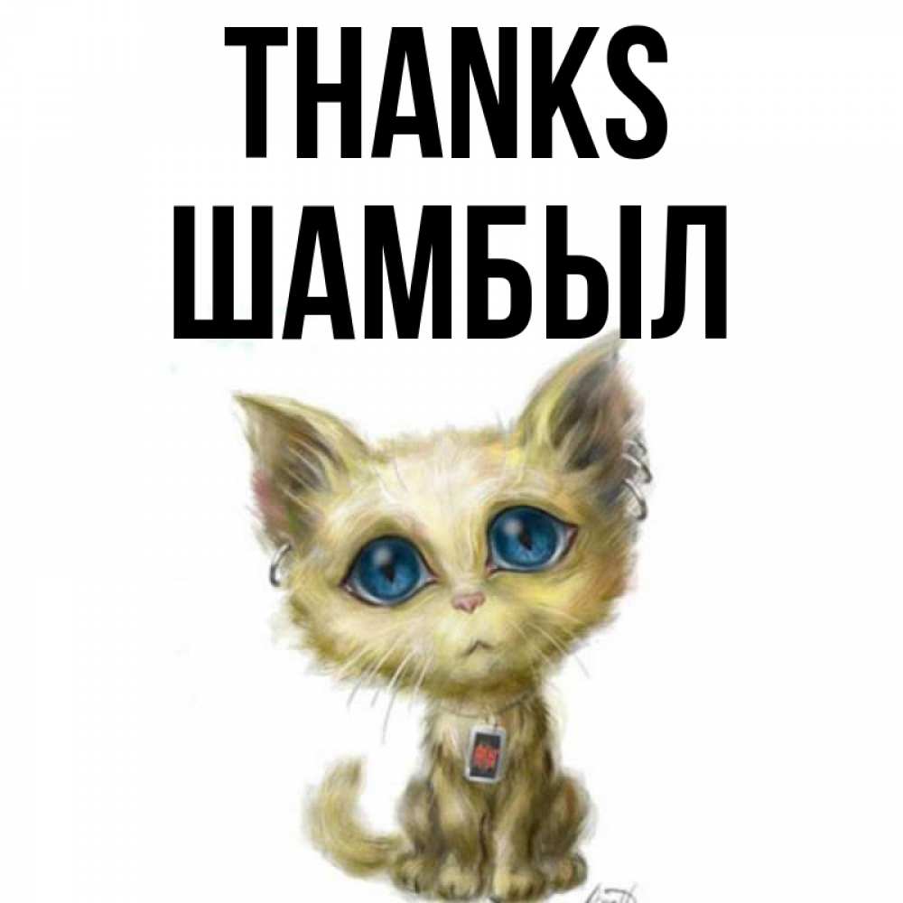 Greetings card с именем, ШАМБЫЛ Thanks рисованный кот благодарит вас Greetings with text for free download 