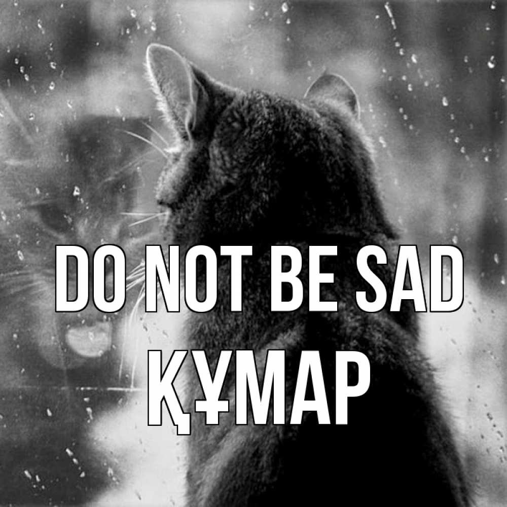 Greetings card с именем, ҚҰМАР Do not be sad отражение кота 1 Greetings with text for free download 