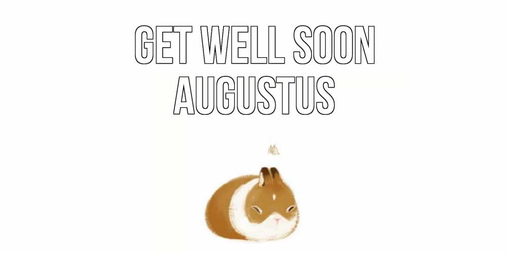 Greetings card с именем, Augustus Get well soon морская свинка на открытке с пожеланиями не болеть Greetings with text for free download 