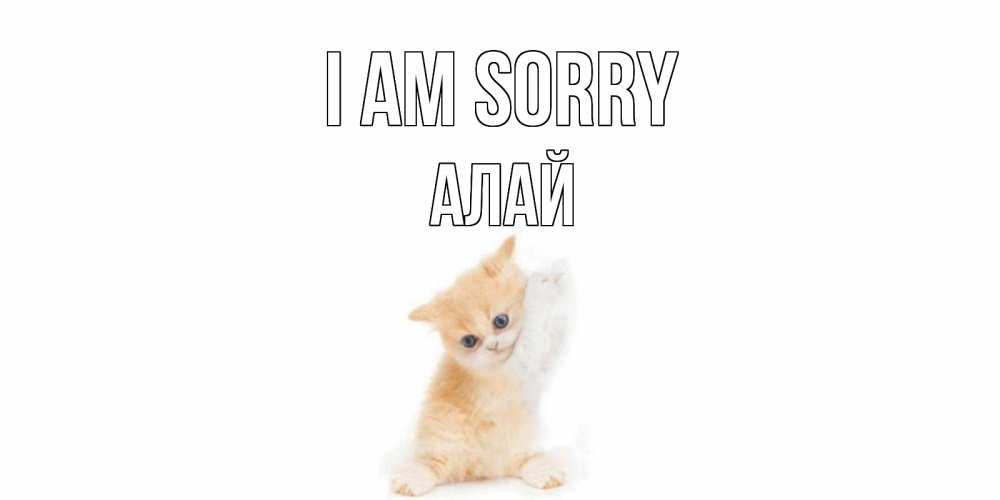 Greetings card с именем, Алай I am sorry кот Greetings with text for free download 