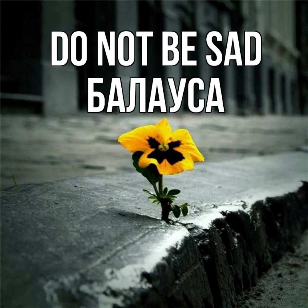 Greetings card с именем, БАЛАУСА Do not be sad не сдавайся Greetings with text for free download 