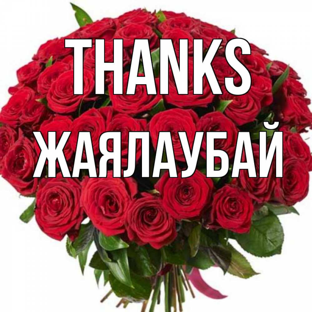 Greetings card с именем, Жаялаубай Thanks букет красных роз Greetings with text for free download 