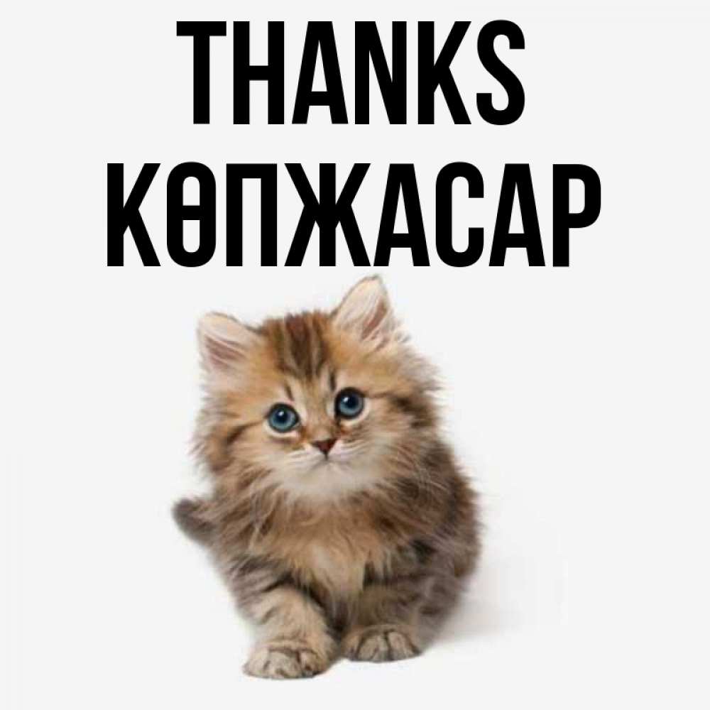 Greetings card с именем, Көпжасар Thanks пушистый котик Greetings with text for free download 