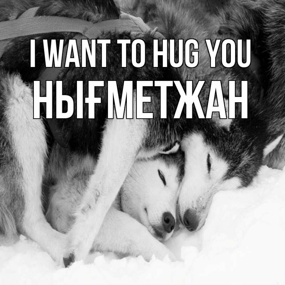 Greetings card с именем, НЫҒМЕТЖАН I want to hug you собачки в упряжке Greetings with text for free download 