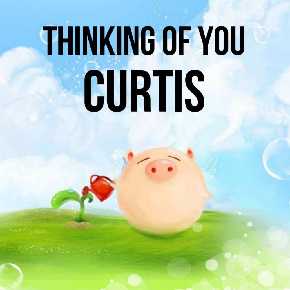 Greetings card с именем, Curtis Thinking of you позитивная свинюшка Greetings with text for free download 
