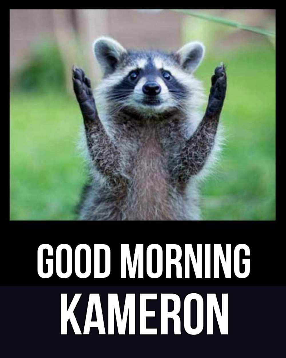 Greetings card с именем, Kameron Good morning хорошее настроение утречком Greetings with text for free download 