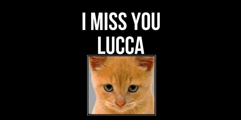 Greetings card с именем, Lucca I miss you открытки рыжий котенок скучает по тебе Greetings with text for free download 