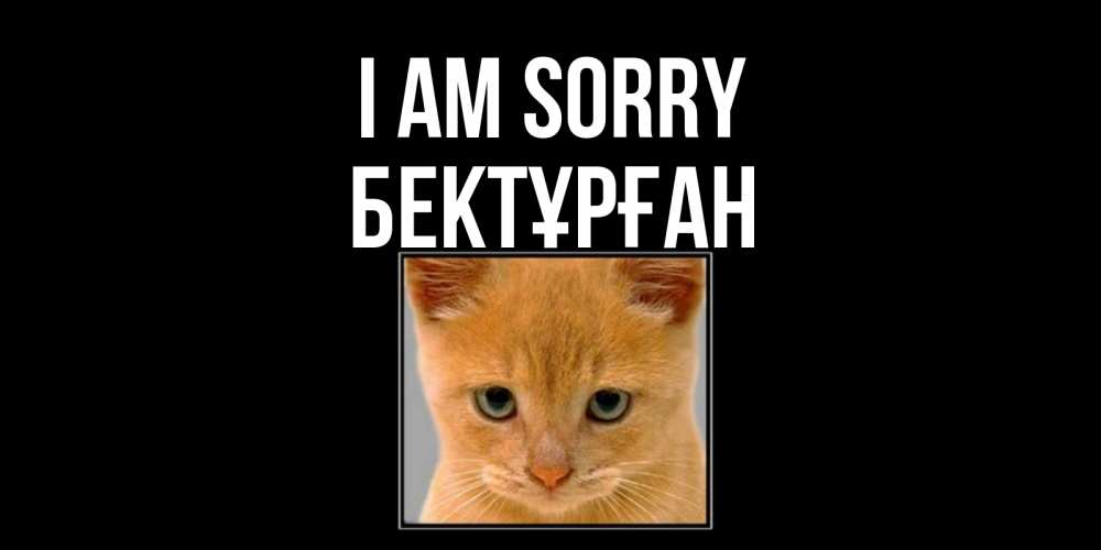 Greetings card с именем, Бектұрған I am sorry рыжий грустный кот просит прощения Greetings with text for free download 