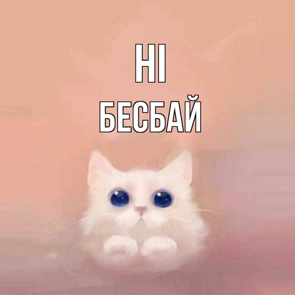 Greetings card с именем, Бесбай Hi котик белый в полете Greetings with text for free download 