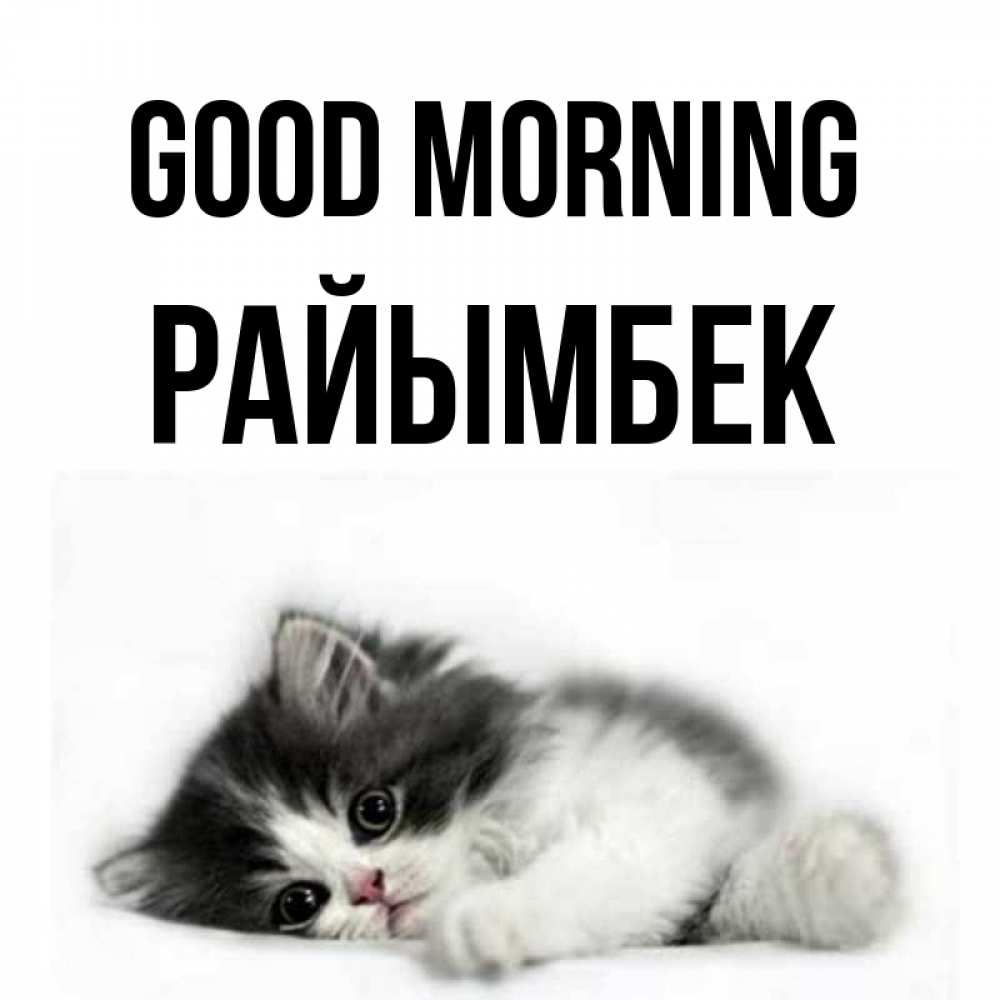 Greetings card с именем, РАЙЫМБЕК Good morning кот лапки Greetings with text for free download 
