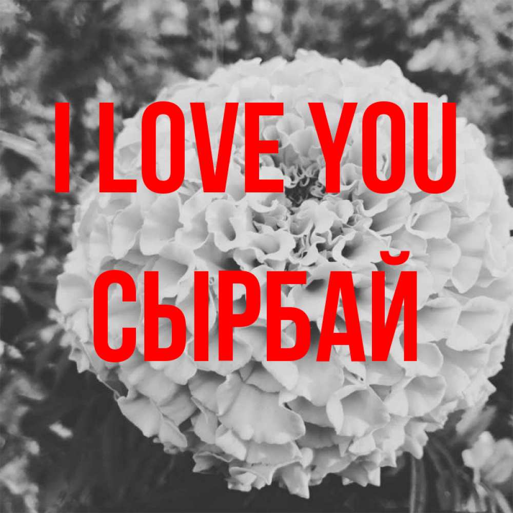 Greetings card с именем, СЫРБАЙ I love you подпись Greetings with text for free download 