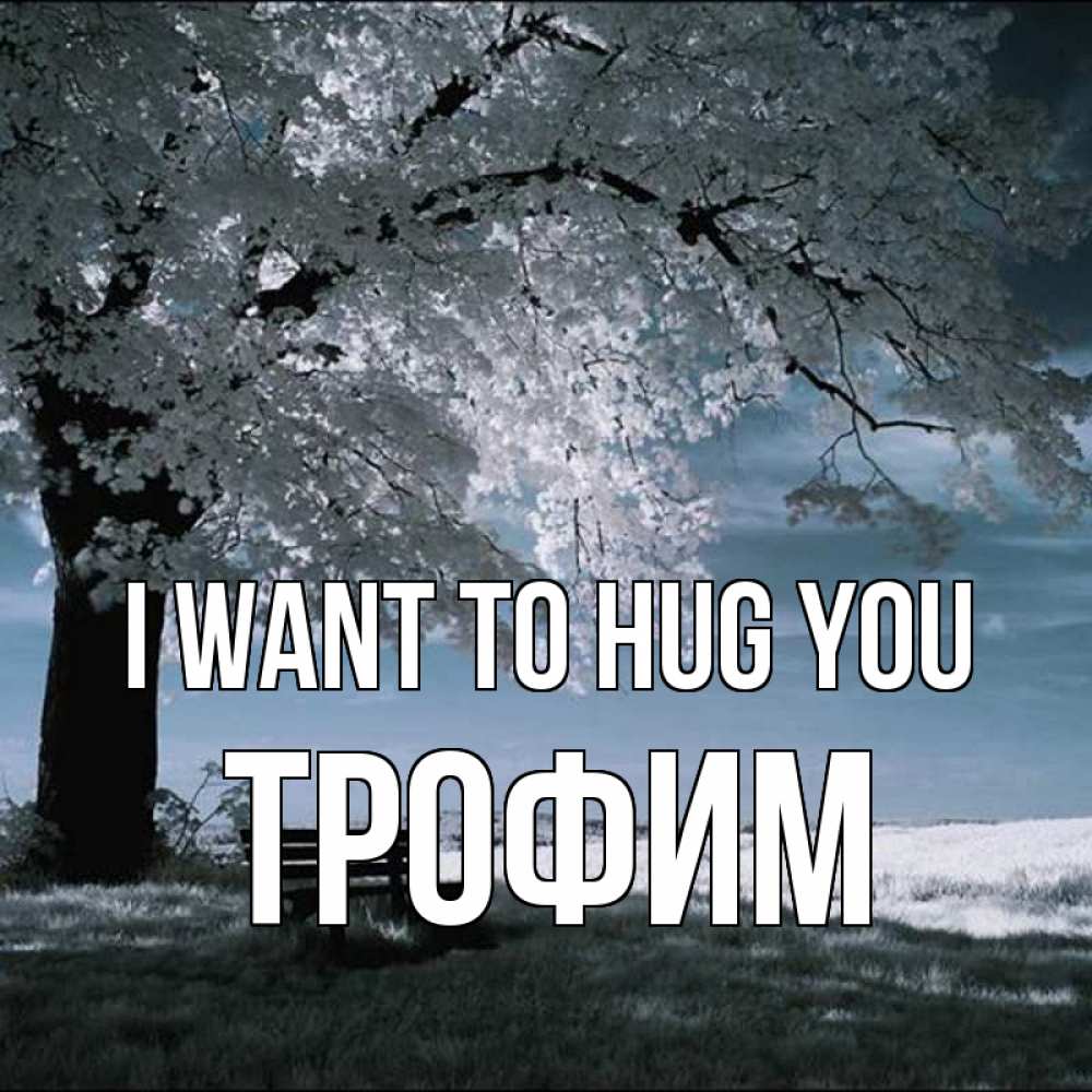 Greetings card с именем, Трофим I want to hug you дерево Greetings with text for free download 