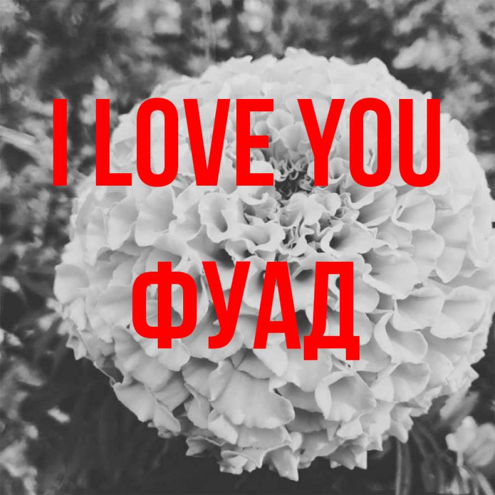 Greetings card с именем, Фуад I love you подпись Greetings with text for free download 