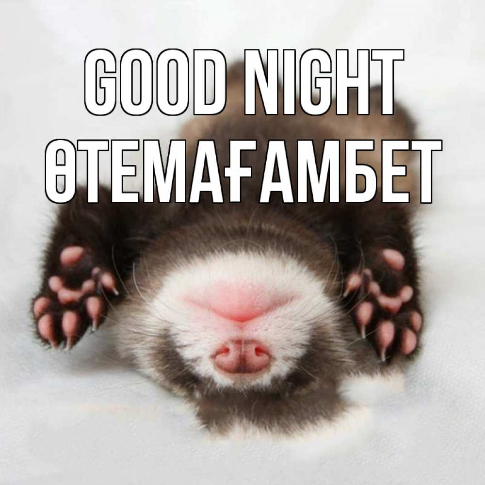 Greetings card с именем, ӨТЕМАҒАМБЕТ Good night зверек Greetings with text for free download 