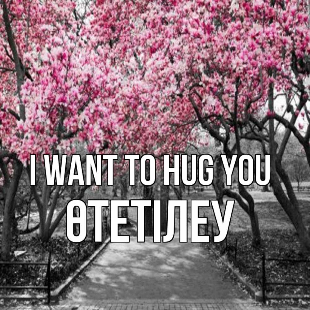 Greetings card с именем, ӨТЕТІЛЕУ I want to hug you обработанное фото Greetings with text for free download 