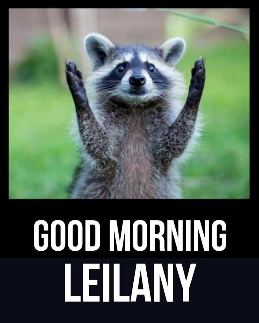 Greetings card с именем, Leilany Good morning хорошее настроение утречком Greetings with text for free download 