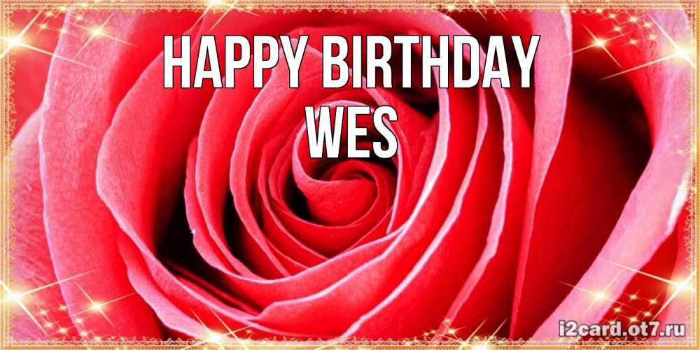 Greetings card с именем, Wes Happy Birthday розовая роза очень крупный бутон Greetings with text for free download 