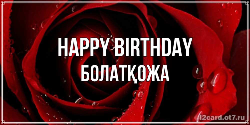 Greetings card с именем, Болатқожа Happy Birthday крупная бордовая роза Greetings with text for free download 