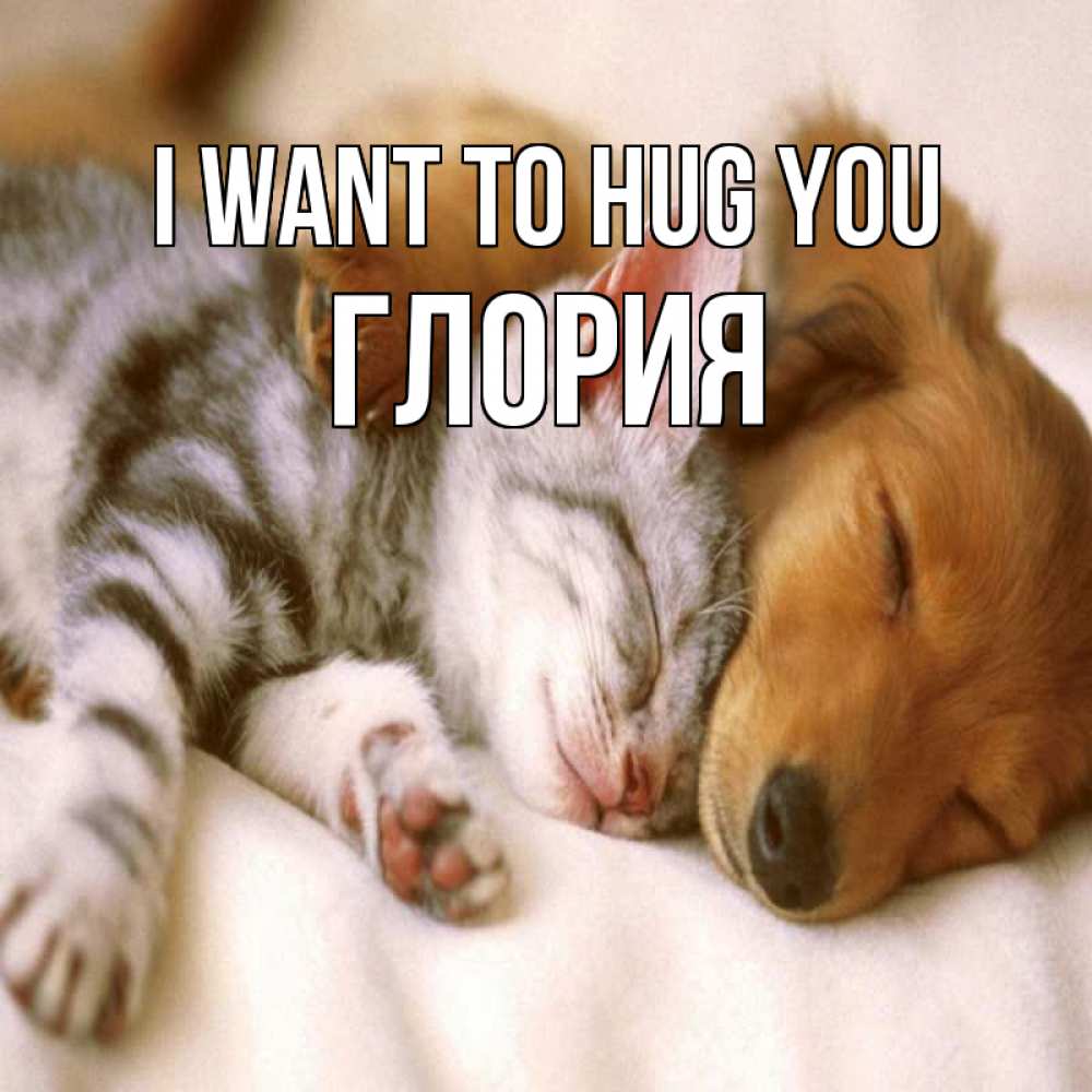 Greetings card с именем, Глория I want to hug you пес и котенок Greetings with text for free download 