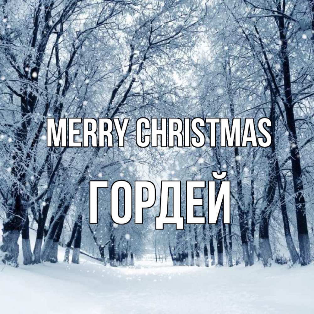 Greetings card с именем, Гордей Merry Christmas снег, лес, парк Greetings with text for free download 