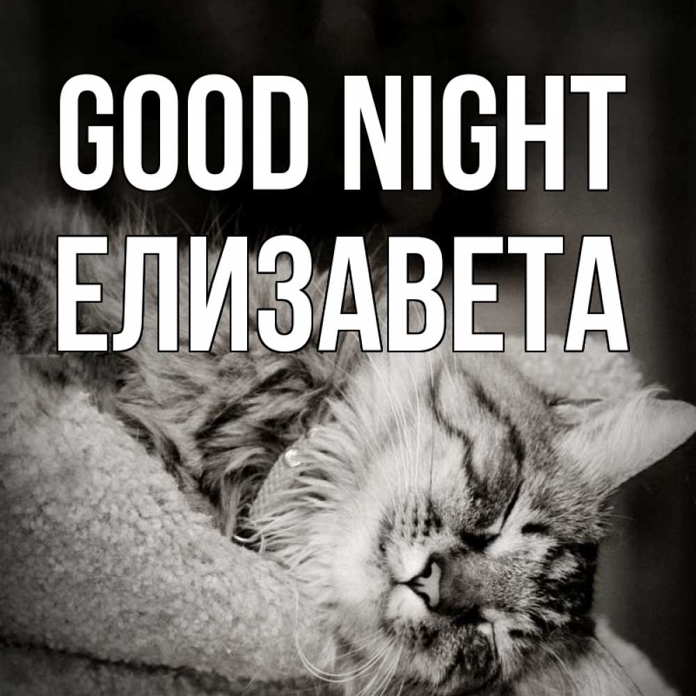 Greetings card с именем, Елизавета Good night котярик пушистый Greetings with text for free download 