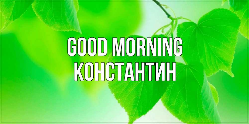 Greetings card с именем, Константин Good morning доброе утро с березовыми листьями Greetings with text for free download 