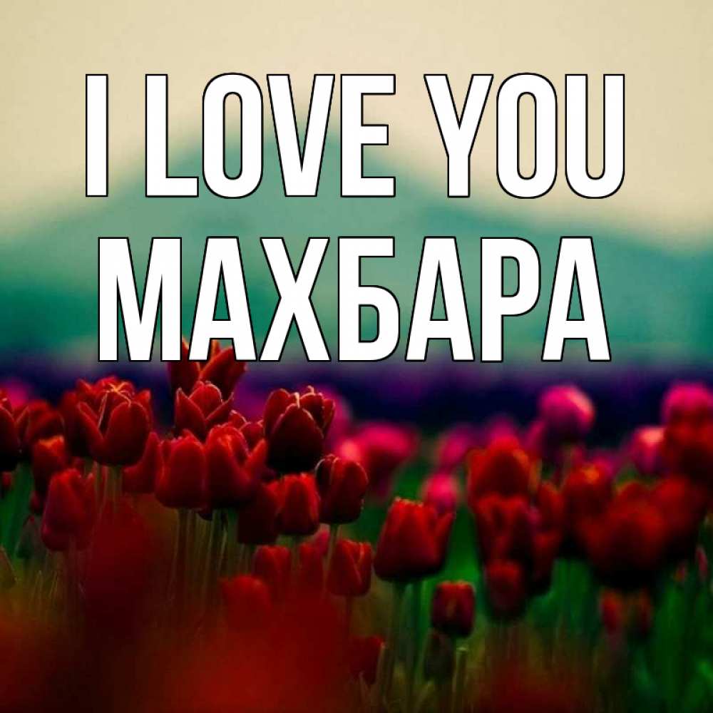 Greetings card с именем, МАХБАРА I love you тюльпаны 4 Greetings with text for free download 