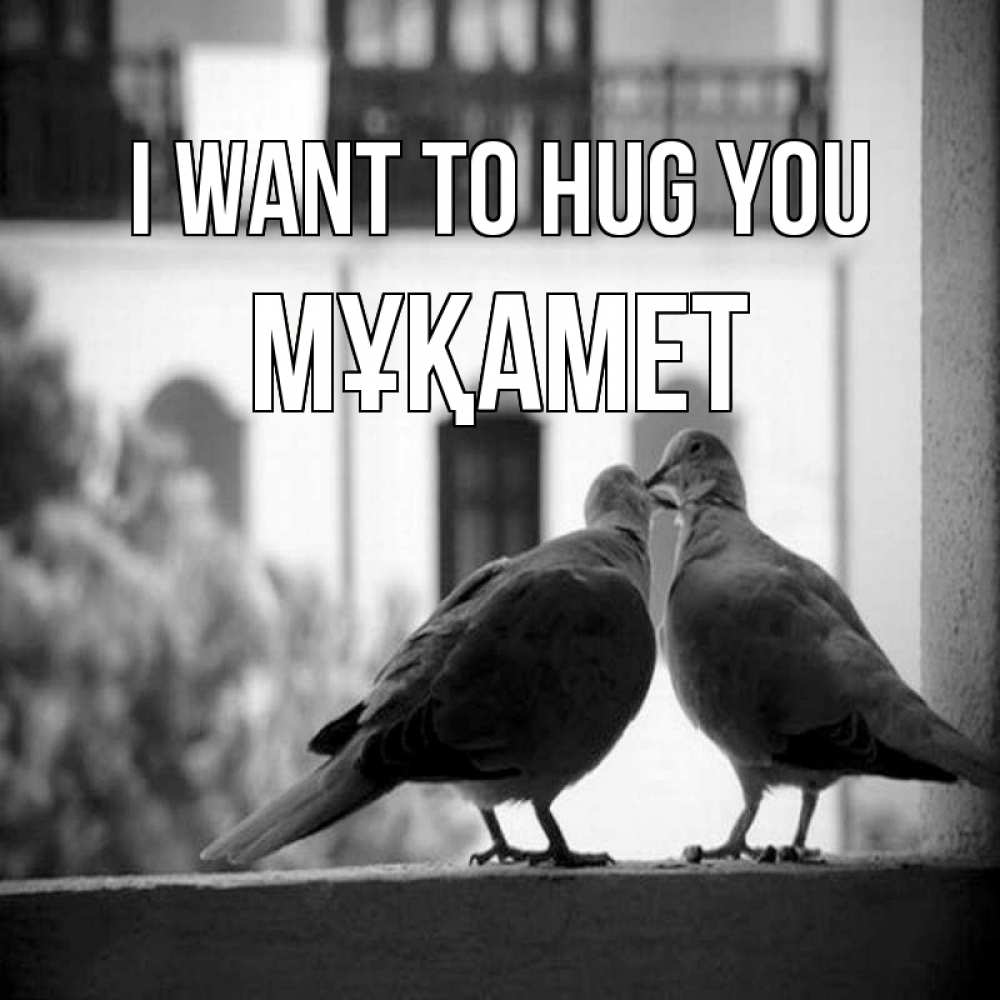 Greetings card с именем, МҰҚАМЕТ I want to hug you птицы на подоконнике Greetings with text for free download 