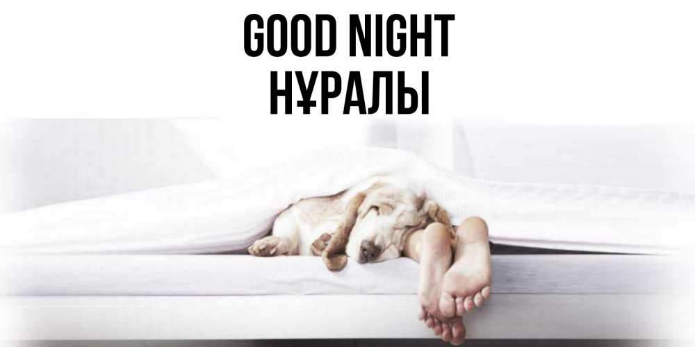 Greetings card с именем, НҰРАЛЫ Good night кровать с собакой пожелание сладких снов и спокойной ночи Greetings with text for free download 