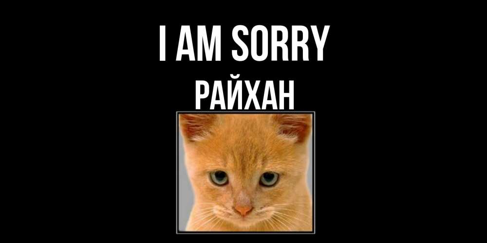 Greetings card с именем, РАЙХАН I am sorry рыжий грустный кот просит прощения Greetings with text for free download 