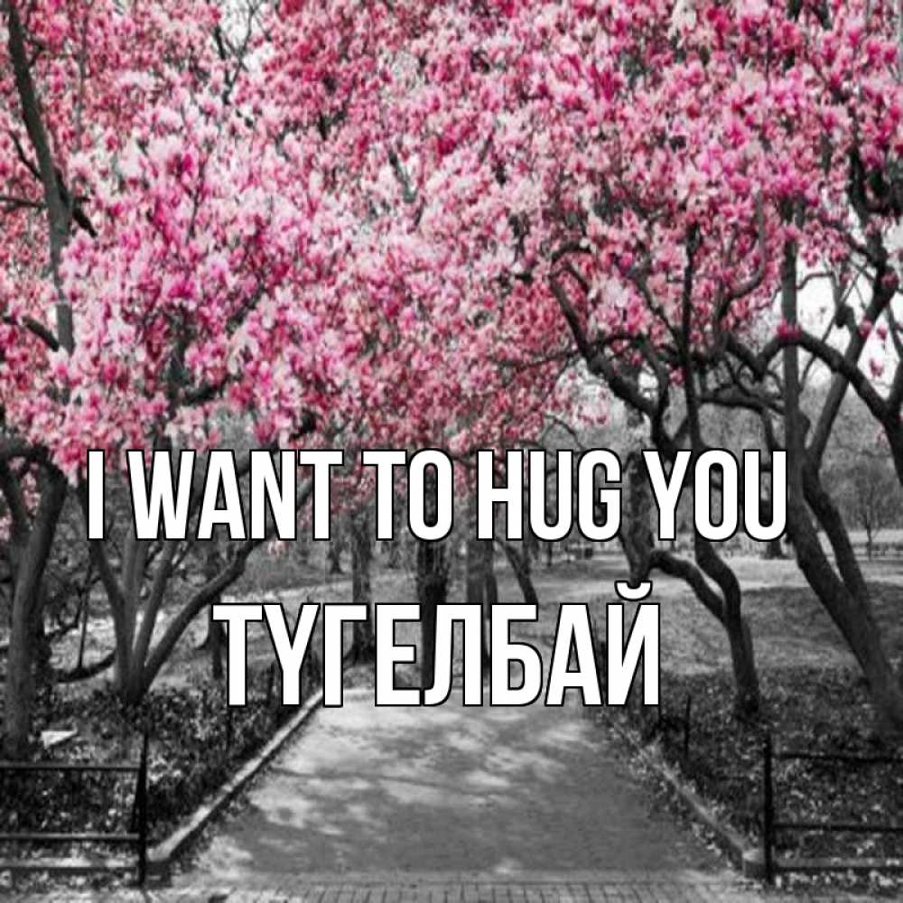 Greetings card с именем, ТҮГЕЛБАЙ I want to hug you обработанное фото Greetings with text for free download 