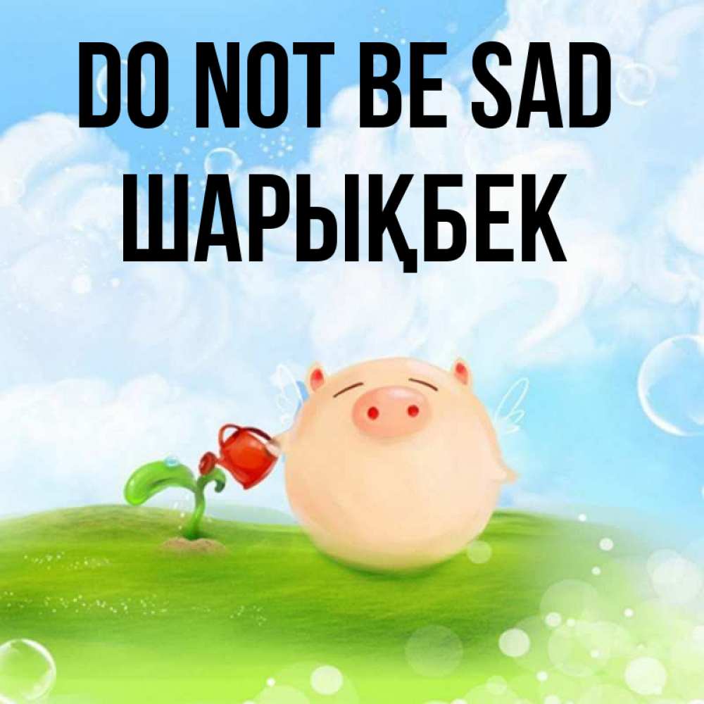 Greetings card с именем, ШАРЫҚБЕК Do not be sad поливает цветок порося Greetings with text for free download 