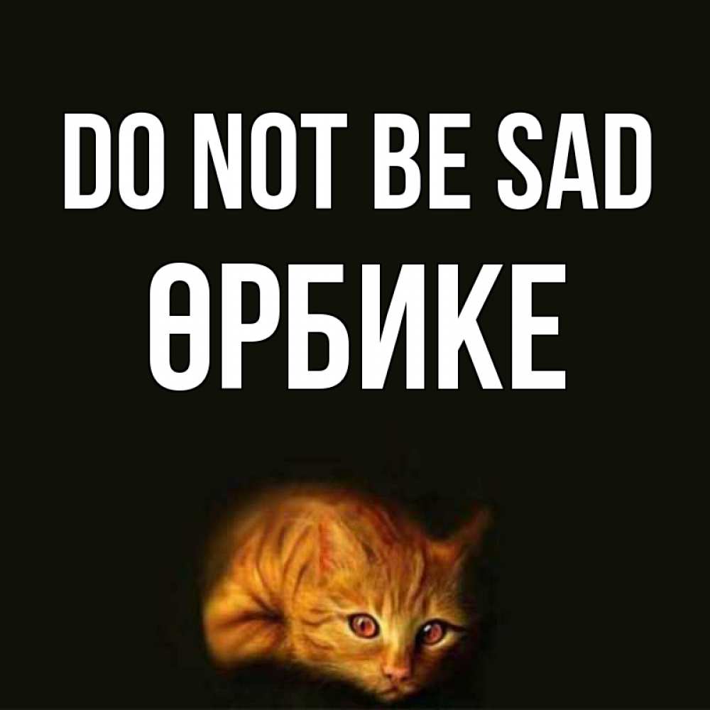 Greetings card с именем, ӨРБИКЕ Do not be sad лежащий кот в темноте Greetings with text for free download 