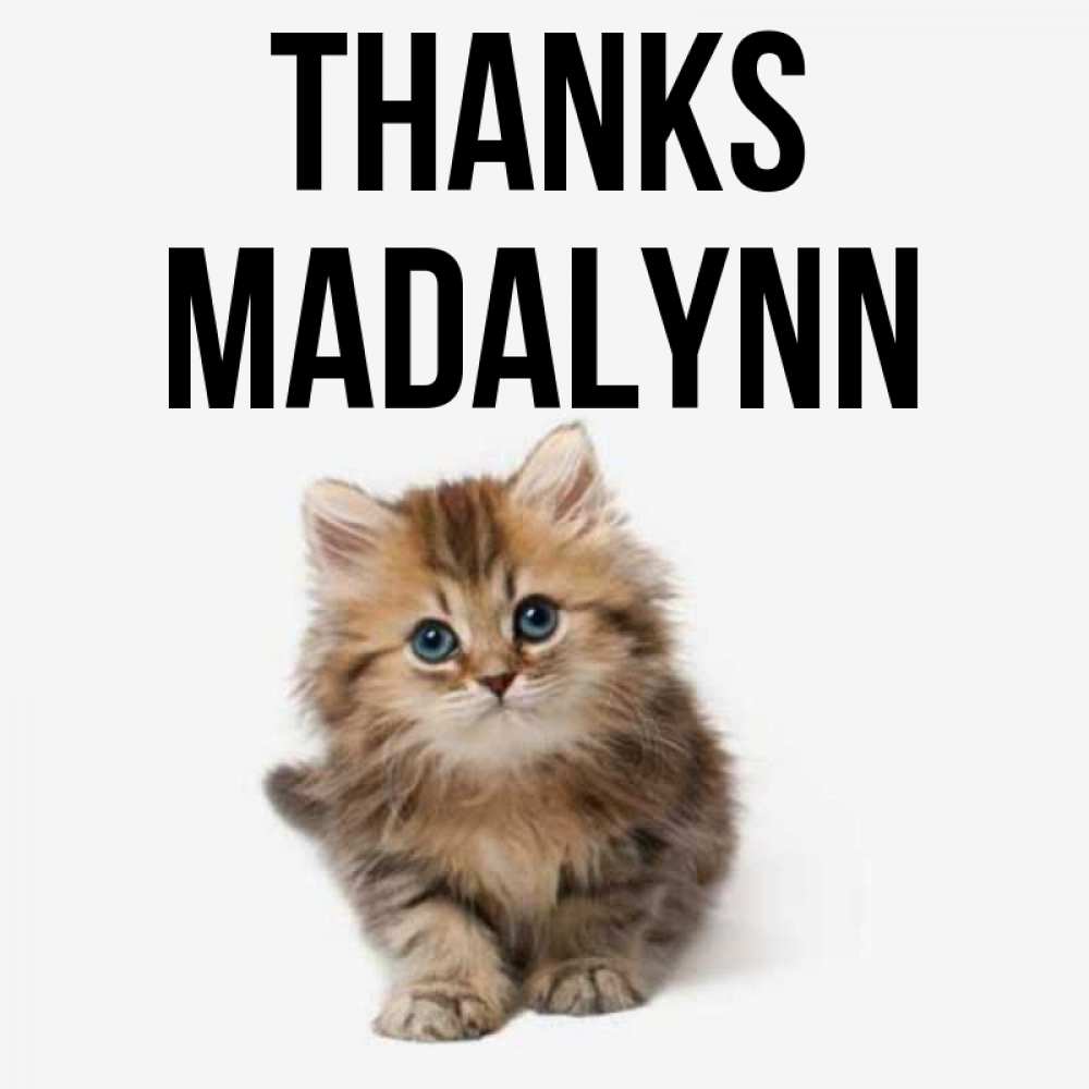 Greetings card с именем, Madalynn Thanks пушистый котик Greetings with text for free download 