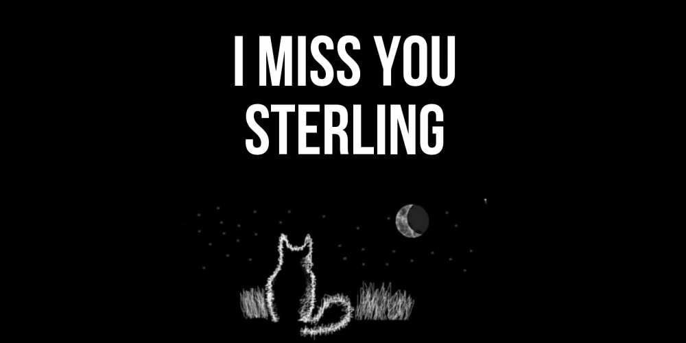 Greetings card с именем, Sterling I miss you кот Greetings with text for free download 