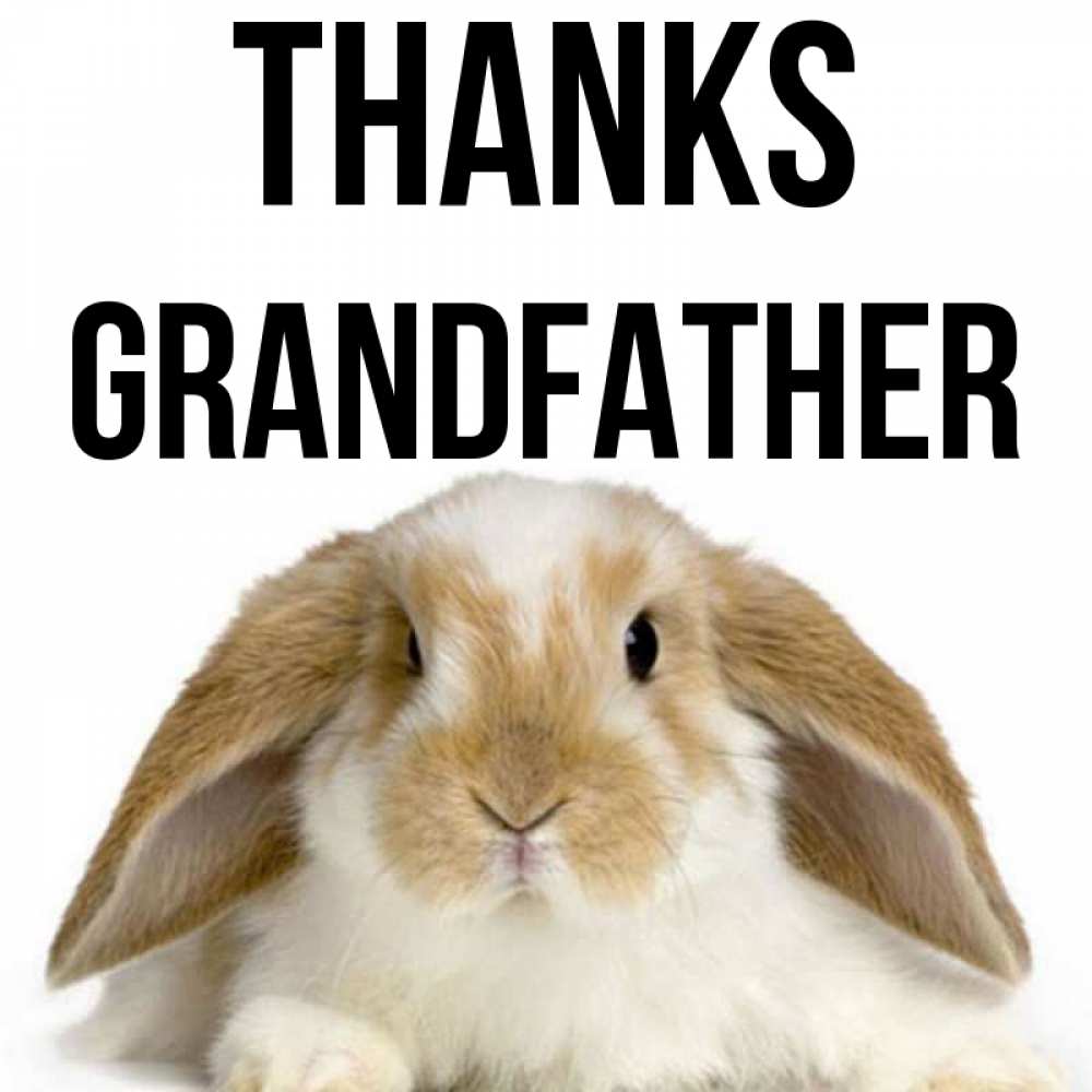 Greetings card с именем, grandfather Thanks коричнево белый заяц Greetings with text for free download 