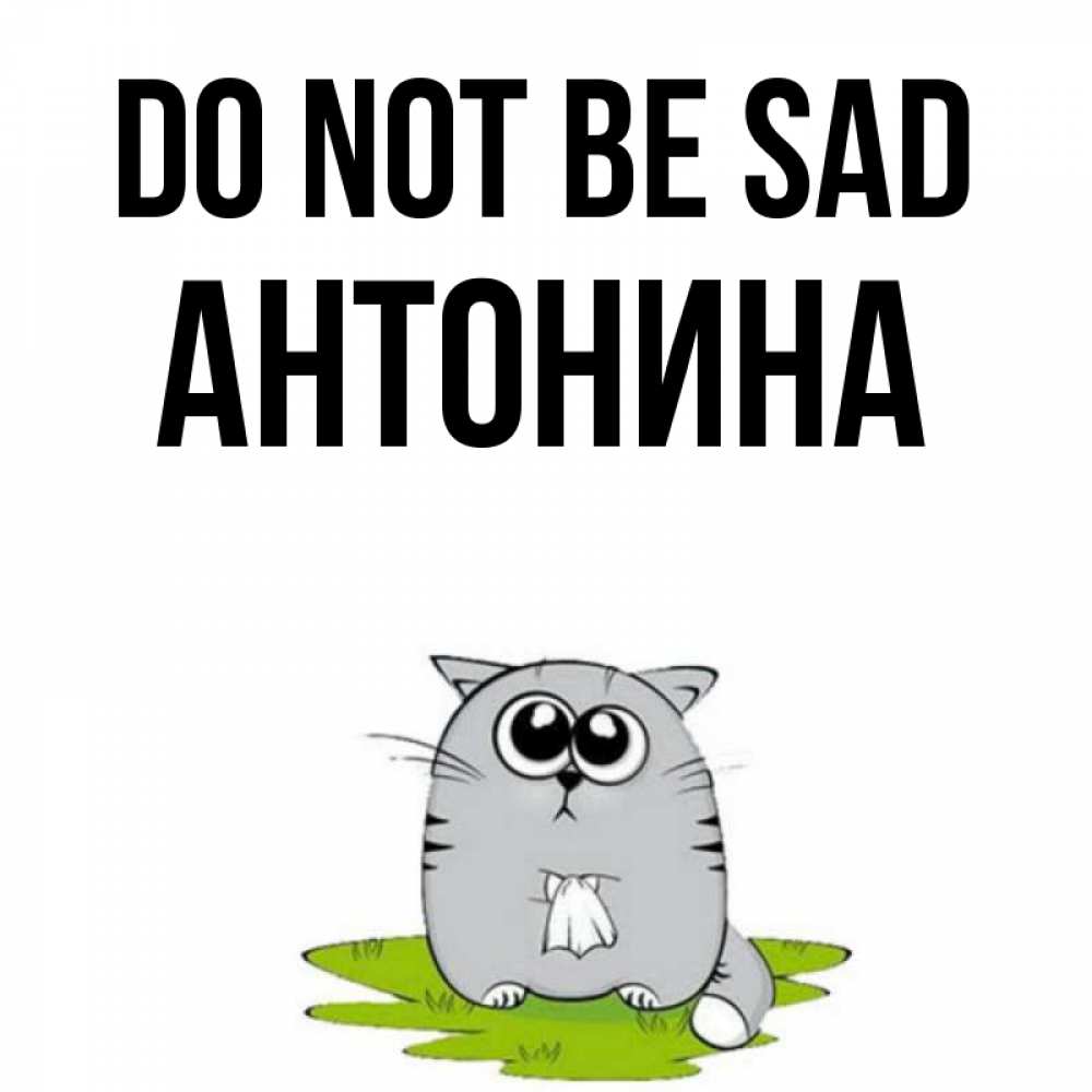 Greetings card с именем, Антонина Do not be sad грустный котяра Greetings with text for free download 