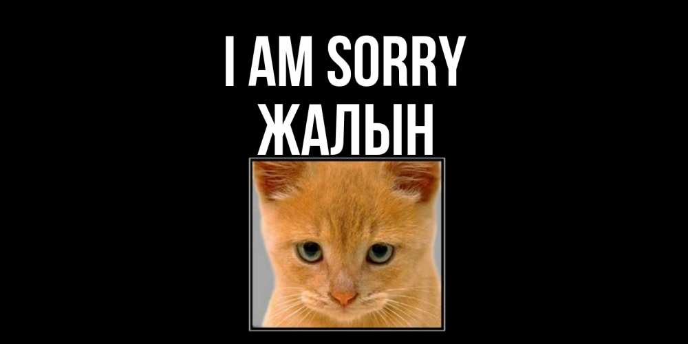 Greetings card с именем, Жалын I am sorry рыжий грустный кот просит прощения Greetings with text for free download 