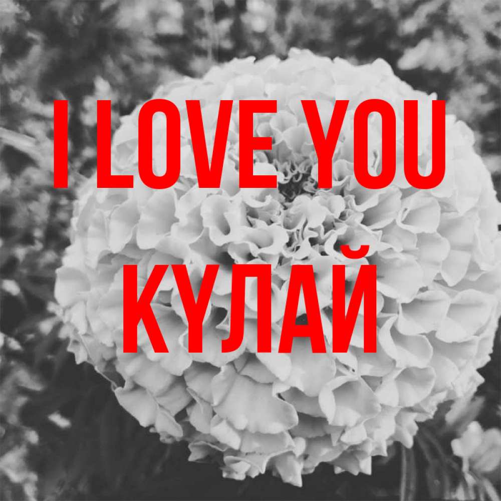 Greetings card с именем, КҮЛАЙ I love you подпись Greetings with text for free download 