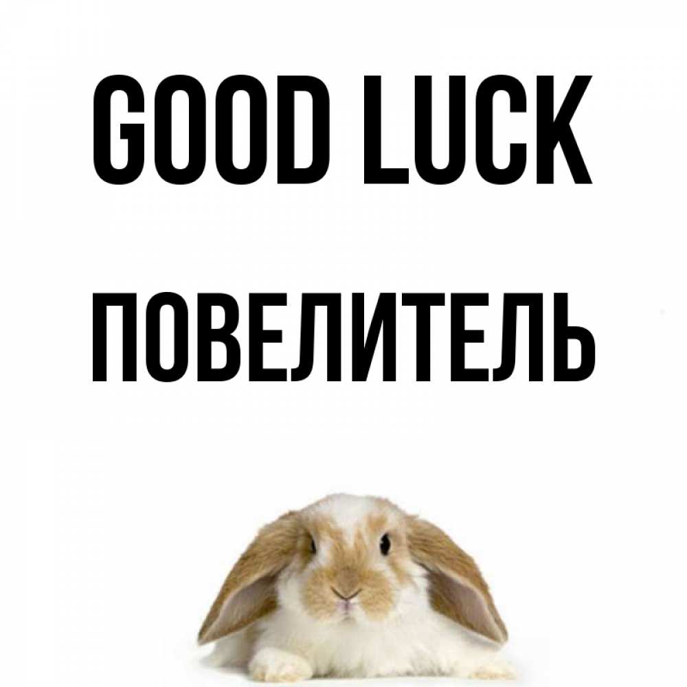 Greetings card с именем, Повелитель Good luck открытки с произвольным текстом который можно вставить в открытку и создать ее самостоятельно бесплатно онлайн Greetings with text for free download 