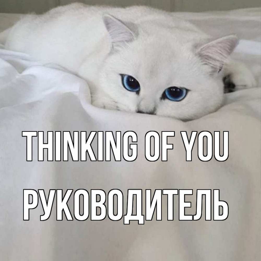 Greetings card с именем, Руководитель Thinking of you я очень по тебе скучаю и тоскую Greetings with text for free download 