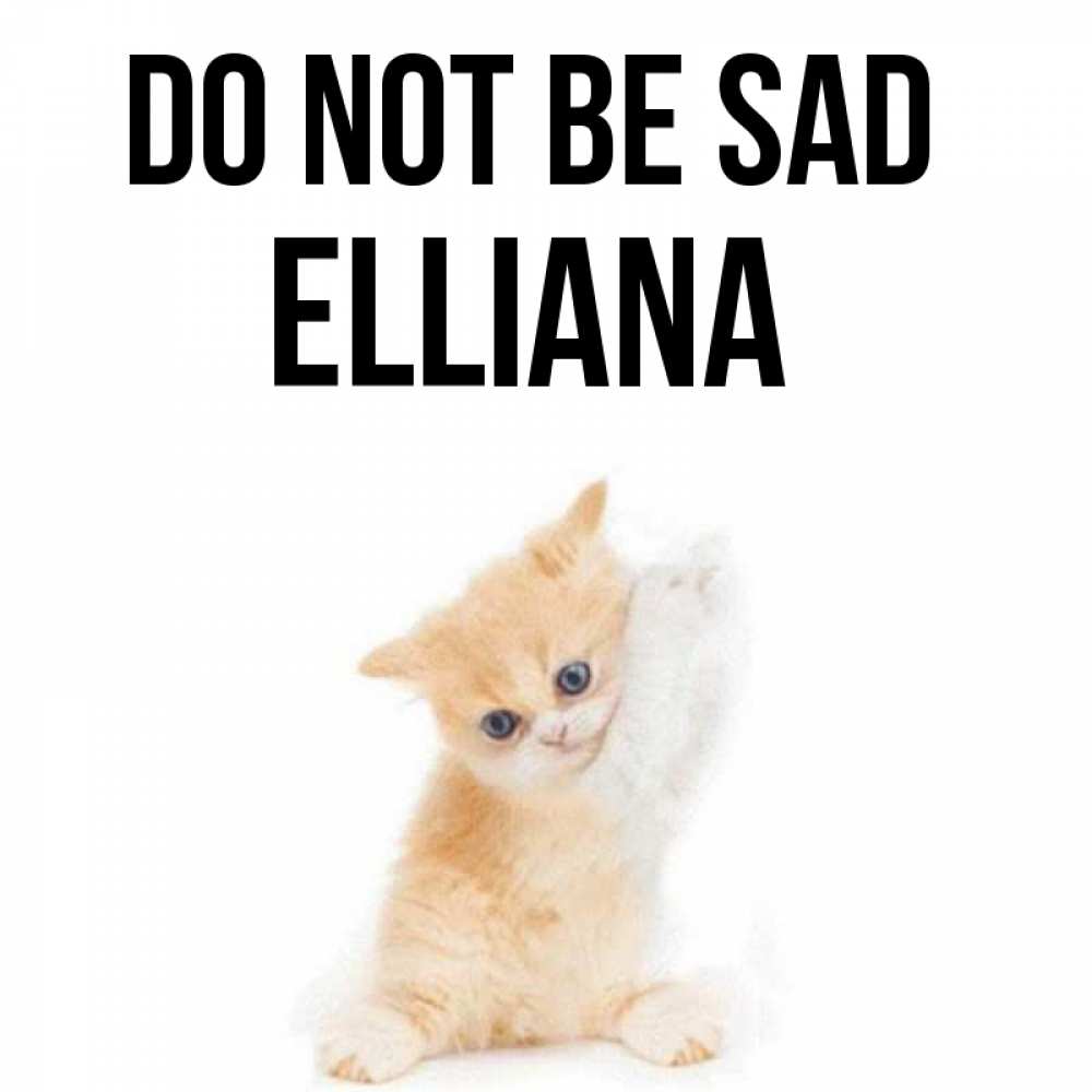 Greetings card с именем, Elliana Do not be sad просящий кот Greetings with text for free download 