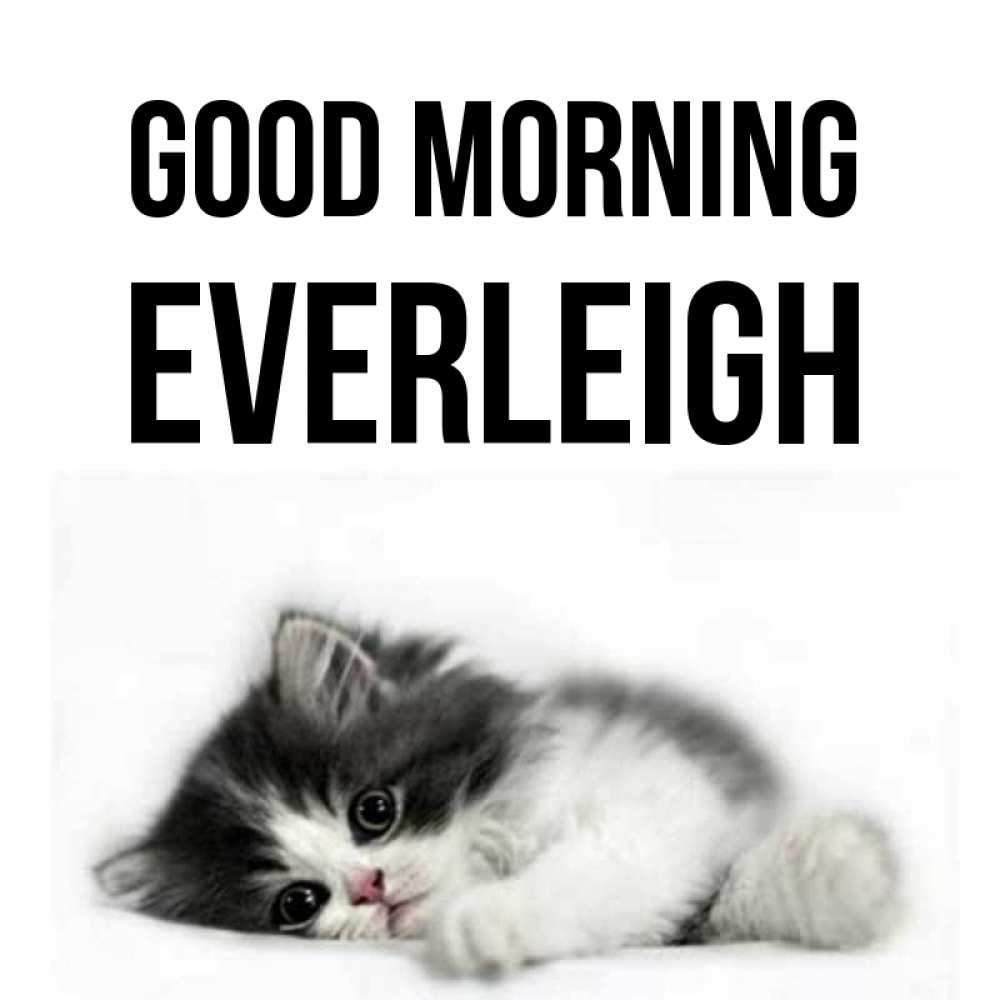 Greetings card с именем, Everleigh Good morning кот лапки Greetings with text for free download 