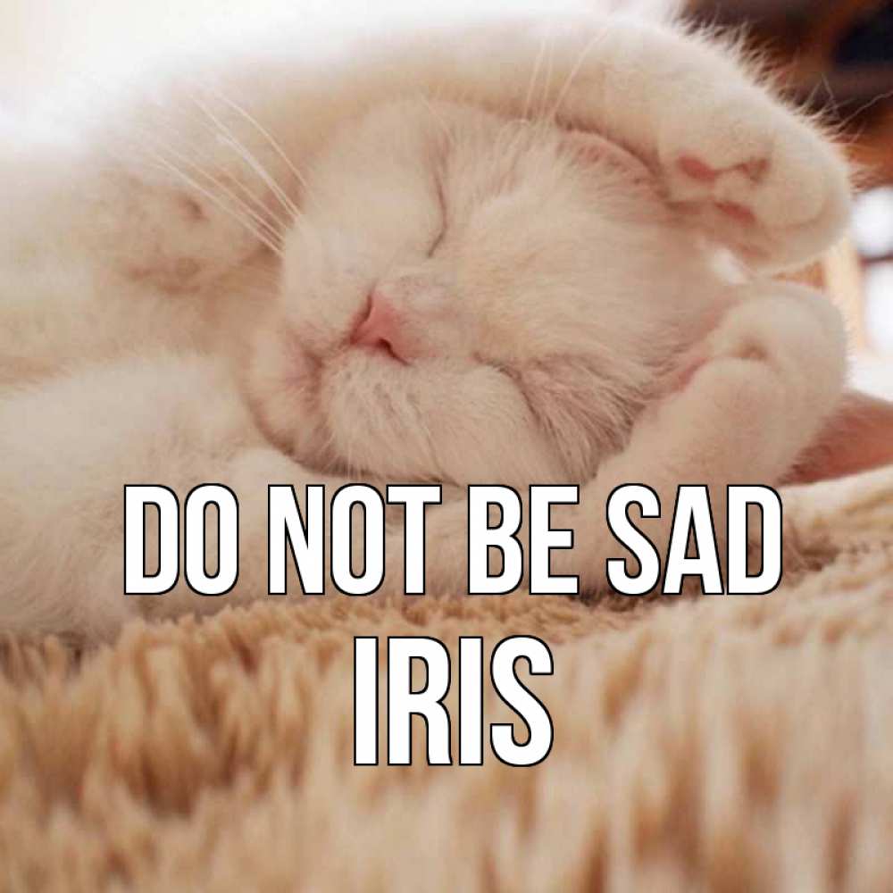 Greetings card с именем, Iris Do not be sad белый кот Greetings with text for free download 