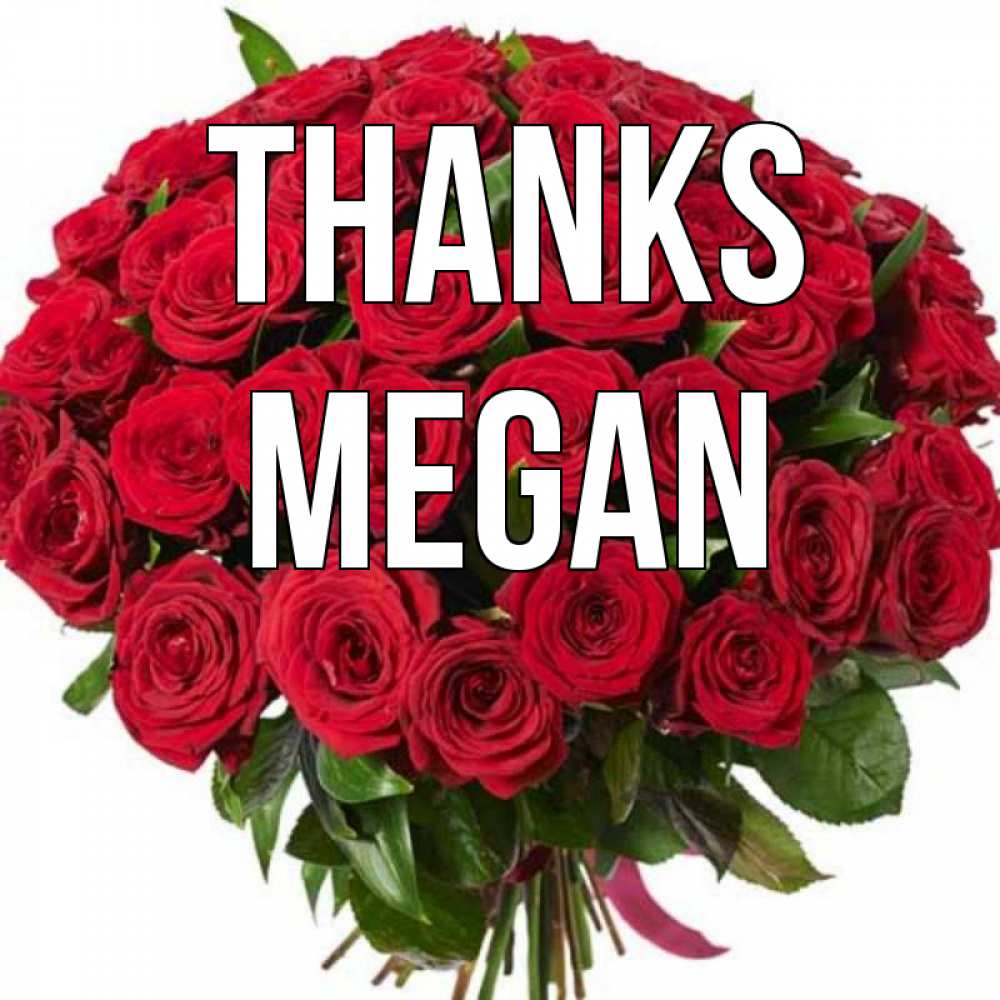 Greetings card с именем, Megan Thanks букет красных роз Greetings with text for free download 