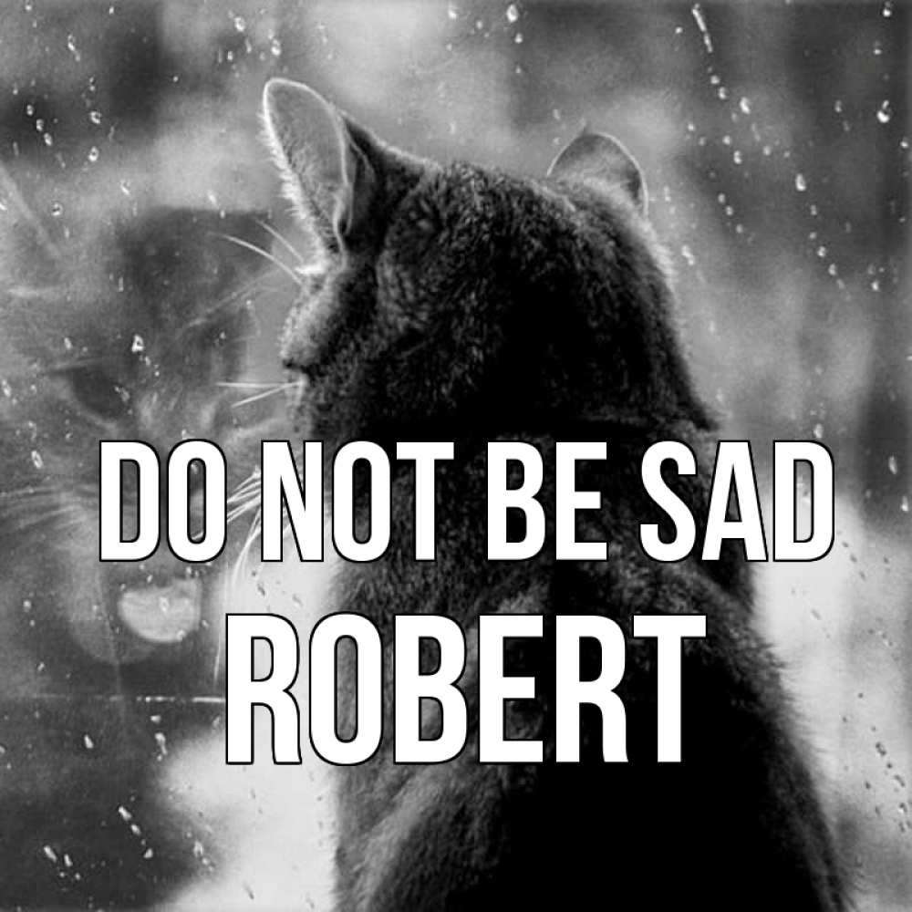 Greetings card с именем, Robert Do not be sad отражение кота 1 Greetings with text for free download 