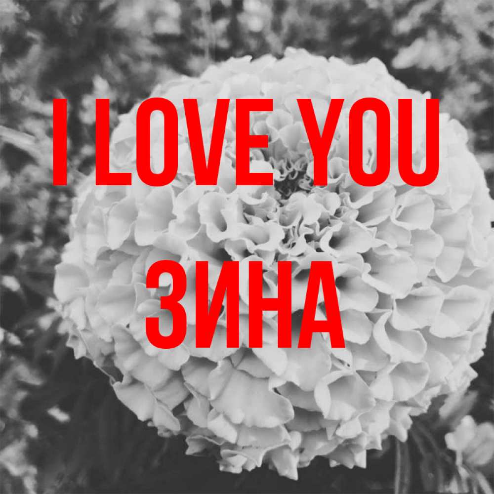 Greetings card с именем, Зина I love you подпись Greetings with text for free download 